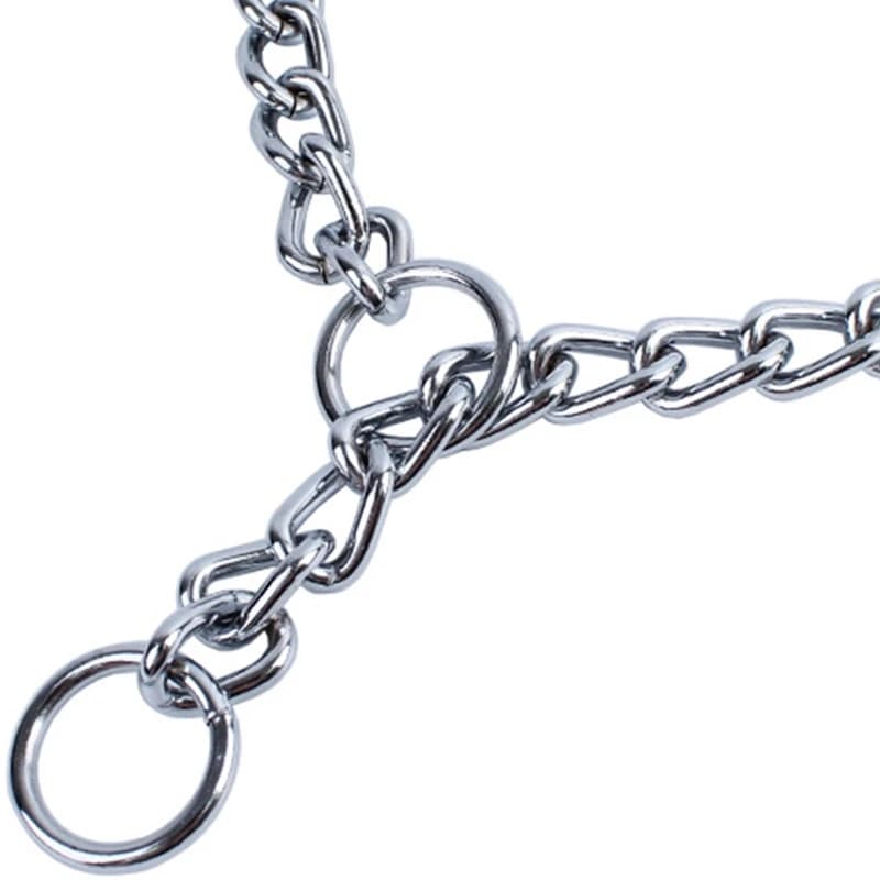 Collier chaîne pour chien