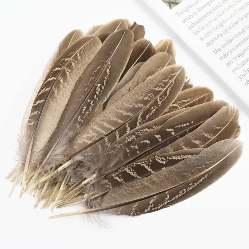 Plumes de faisan naturelles pour la fabrication de bijoux, artisanat, attrape-rêves, création de bijoux, accessoires de décoration faits à la main
