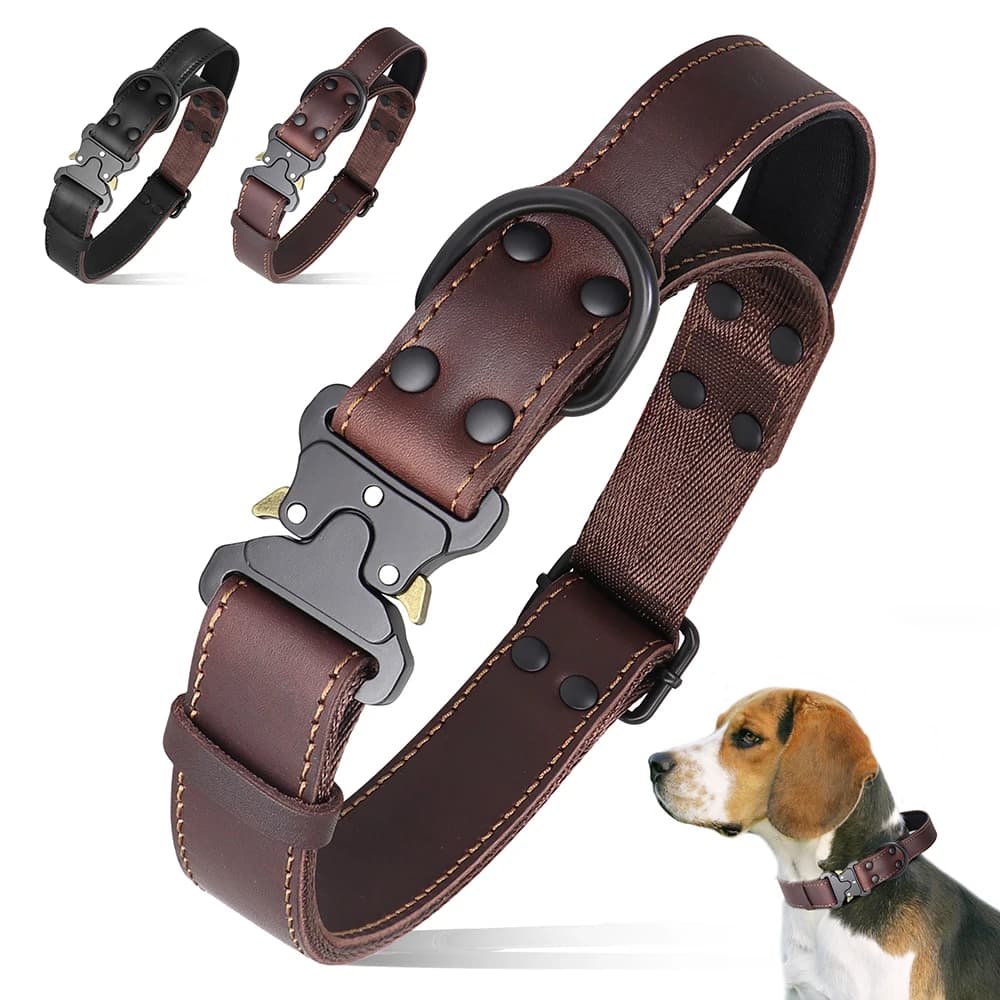 Collier de chien en cuir véritable souple, cuir véritable, colliers durables avec structure sûre, poignée pour chiens moyens et grands, berger allemand