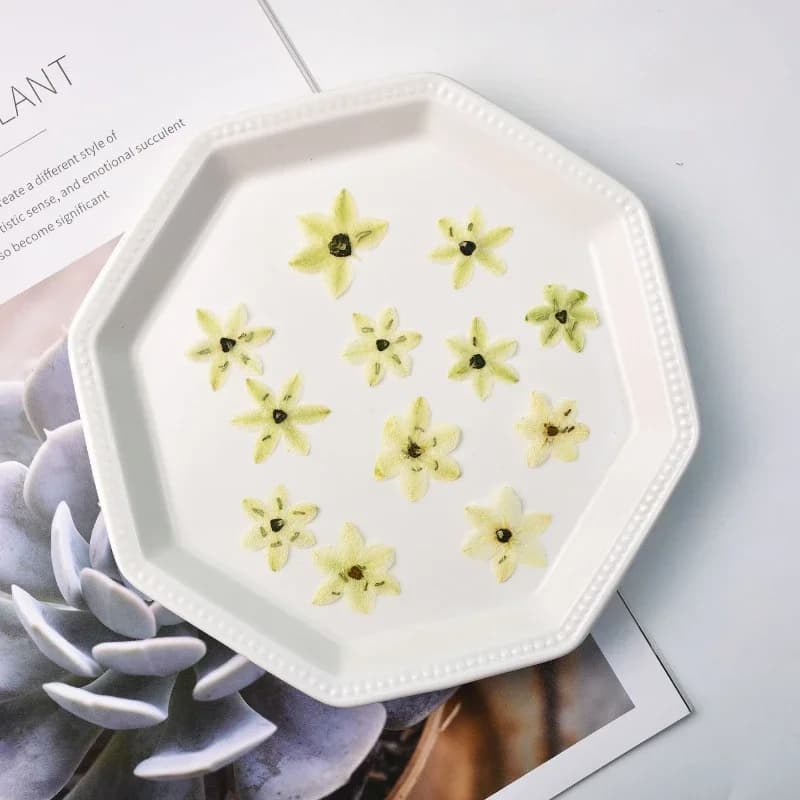 Pétales de fleurs séchées PMurcia pour bricolage, bijoux, marque-page, cadre photo, étui de téléphone, carte postale, plante exécutive, fournitures de taille mini, 12 pièces, 2cm