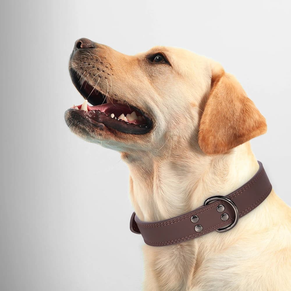 Collier de chien en cuir véritable souple et Durable, colliers pour animaux de compagnie en cuir véritable pour petits, moyens et grands chiens berger allemand marron noir