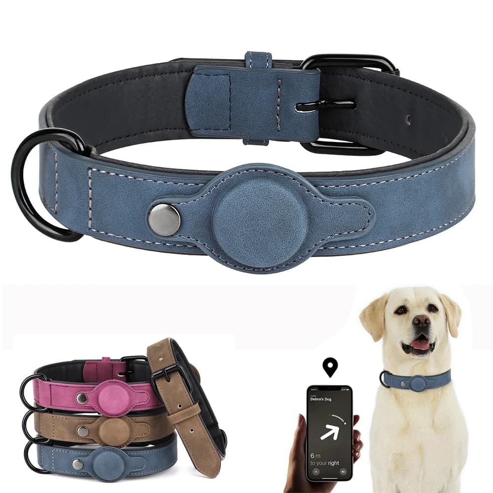 Collier pour chien en cuir PU de haute qualité, étiquette Anti-perte, réglable pour petits et moyens chiens, Chihuahua, carlin, accessoires