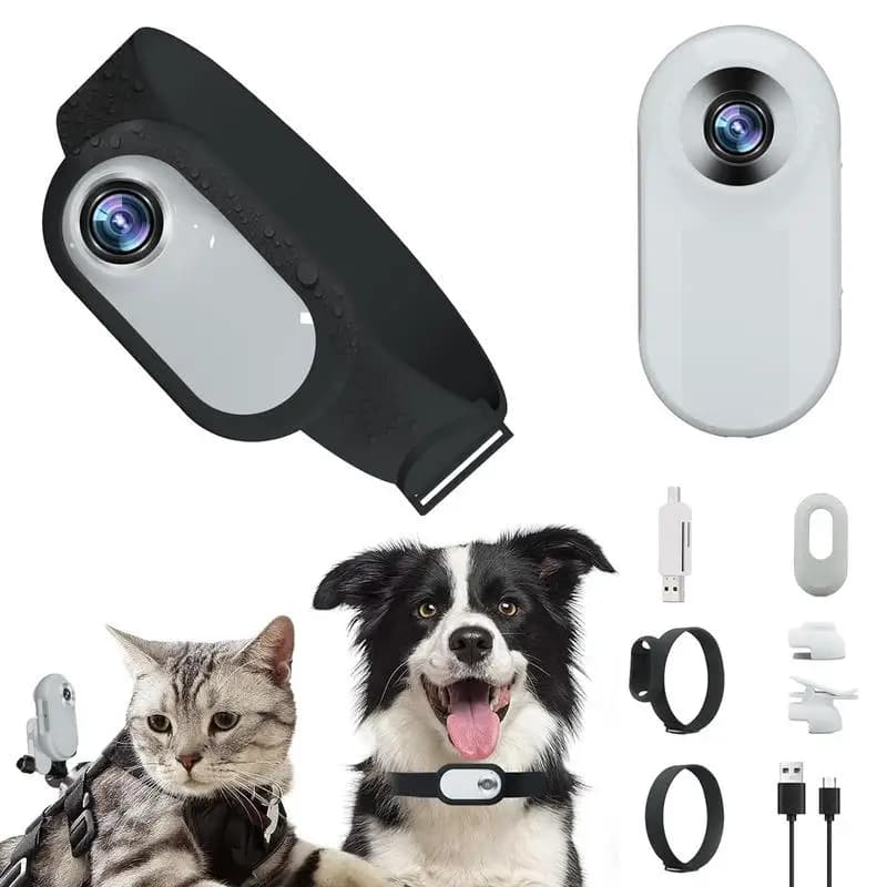 Collier de suivi de chien Hd 1080P, caméra sans fil pour chat, caméra de Sport/Action avec enregistrements vidéo, collier sans fil, fournitures pour animaux de compagnie