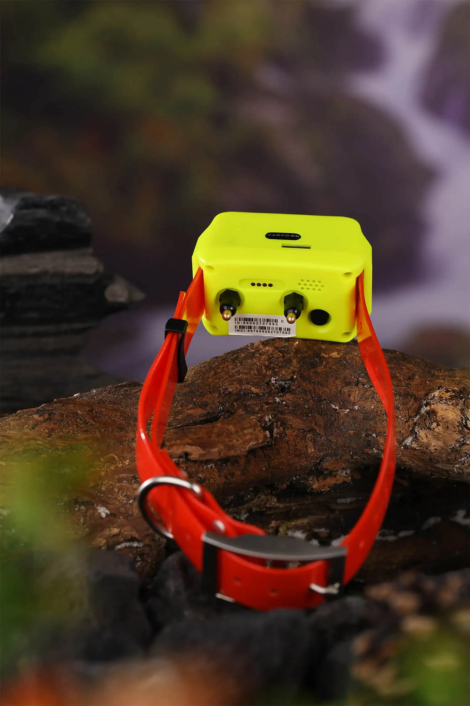 Collier GPS pour chien GOOXOTA