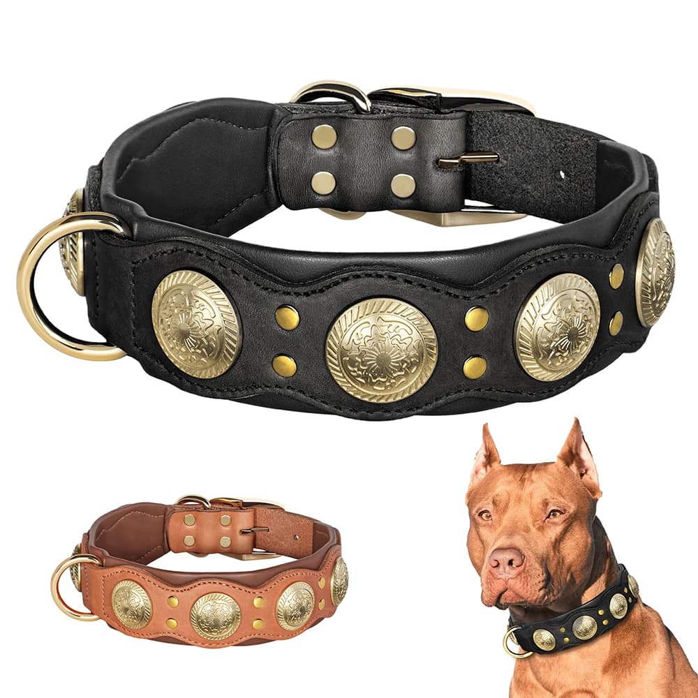 Collier de chien en cuir véritable Durable colliers cloutés à pointes Cool pour chiens de taille moyenne collier pour animaux de compagnie en cuir véritable Pitbull bouledogue