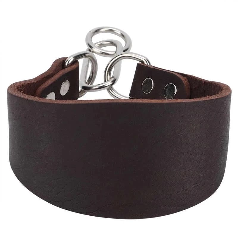 Collier en cuir pour animaux de compagnie, petit collier pour chien, Durable, Portable, élargi, pour lévrier Whippet