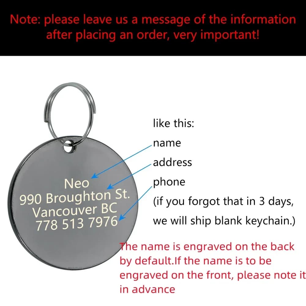 Étiquette d'identification pour animaux de compagnie VIP, personnalisable, gravée, pour chien, chat, plaque de nom en bronze, étiquettes personnalisées, numéro d'adresse, collier pour chien, pendentif