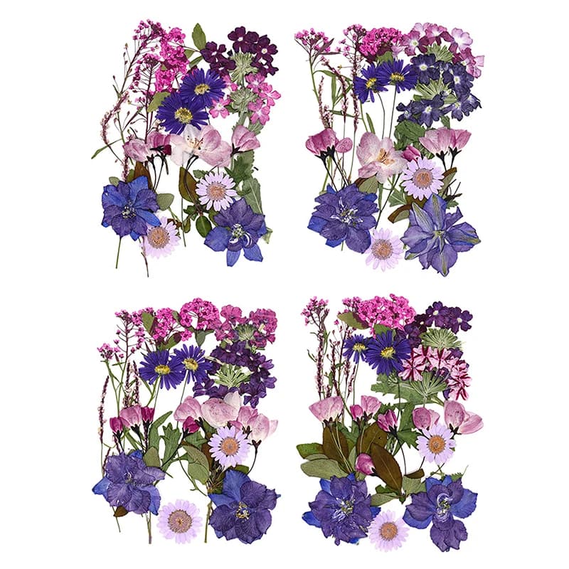 Fleurs séchées véritable plante naturelle pressée fleur pour résine époxy remplissage bricolage Nail Art artisanat fabrication de bijoux artisanat