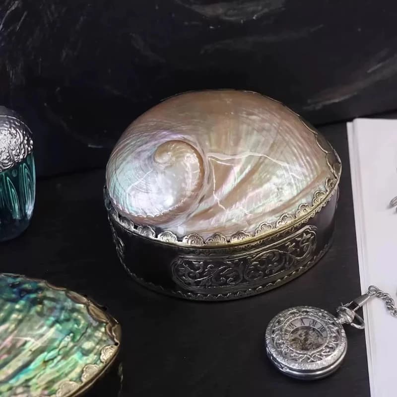 Boîte à bijoux en coquillage Vintage d'asie du sud-est, organisateur de trésors au clair de lune de luxe, cadeau exquis pour bagues