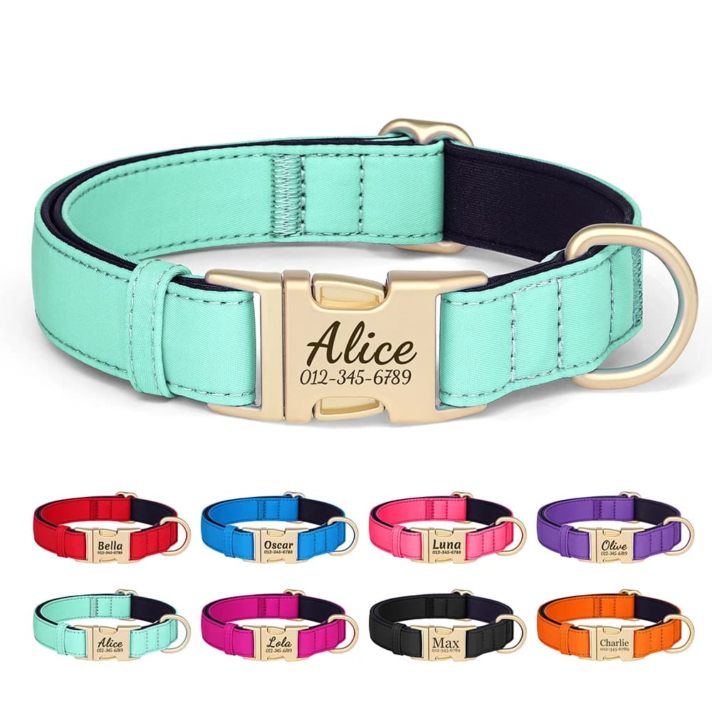 Collier pour chien personnalisé