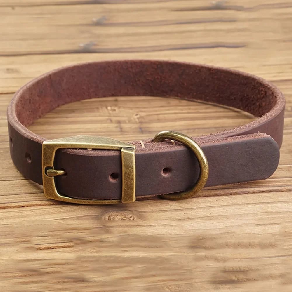 Colliers pour chiots en cuir véritable pour chiens de petite et moyenne taille, collier pour chien en cuir véritable souple avec boucle en métal solide, collier pour animaux de compagnie en cuir