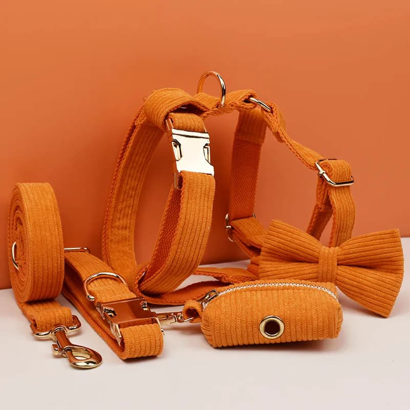 Ensemble collier et laisse pour chien en velours côtelé orange, plaque nominative gravée sur mesure, fournitures pour animaux de compagnie, laisse pour chien en velours côtelé11