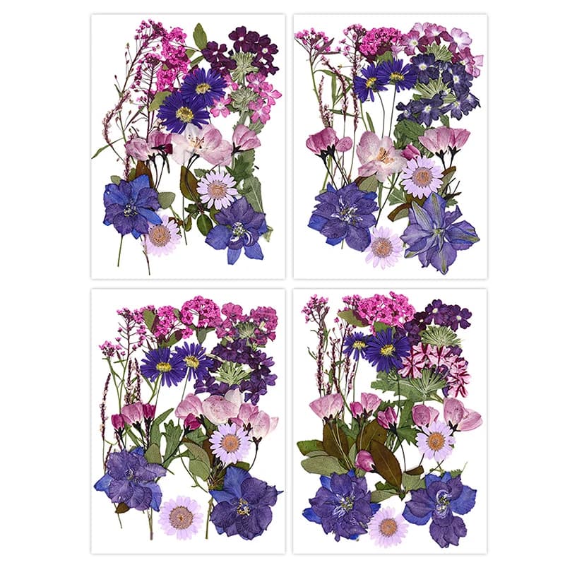 Fleurs vaccées Naturelles pour Travaux Manuels, group Plante PMurcia, pour les Élections, Remplissage en Résine Xy, Nail Art, Bijoux d'Artisanat