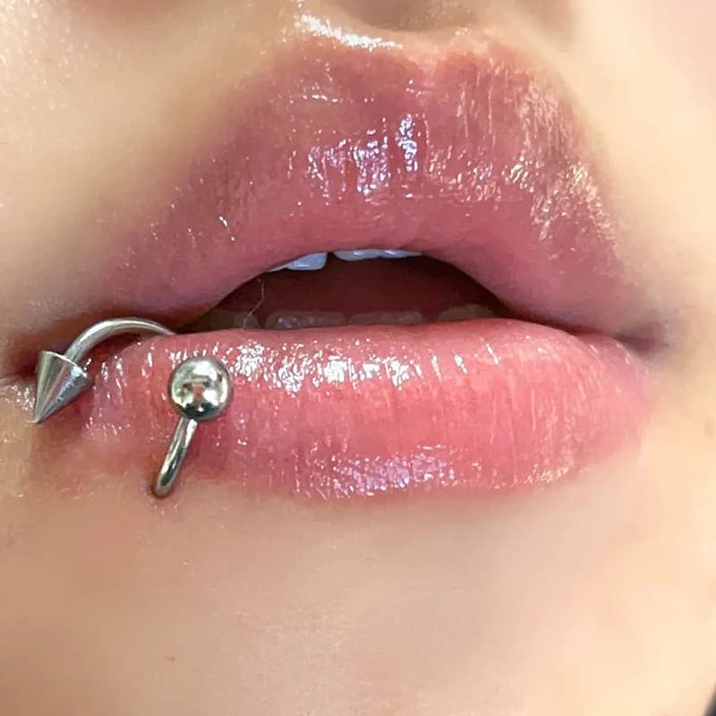 Piercing en Acier Inoxydable pour le Corps, Anneau Antarctique, Fer à Cheval, Pointe, Septum, Jules,