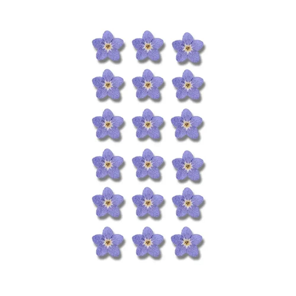 Ornements en résine, bijoux, fabrication de bougies, fleurs pressées naturelles, fleurs séchées « Ne
