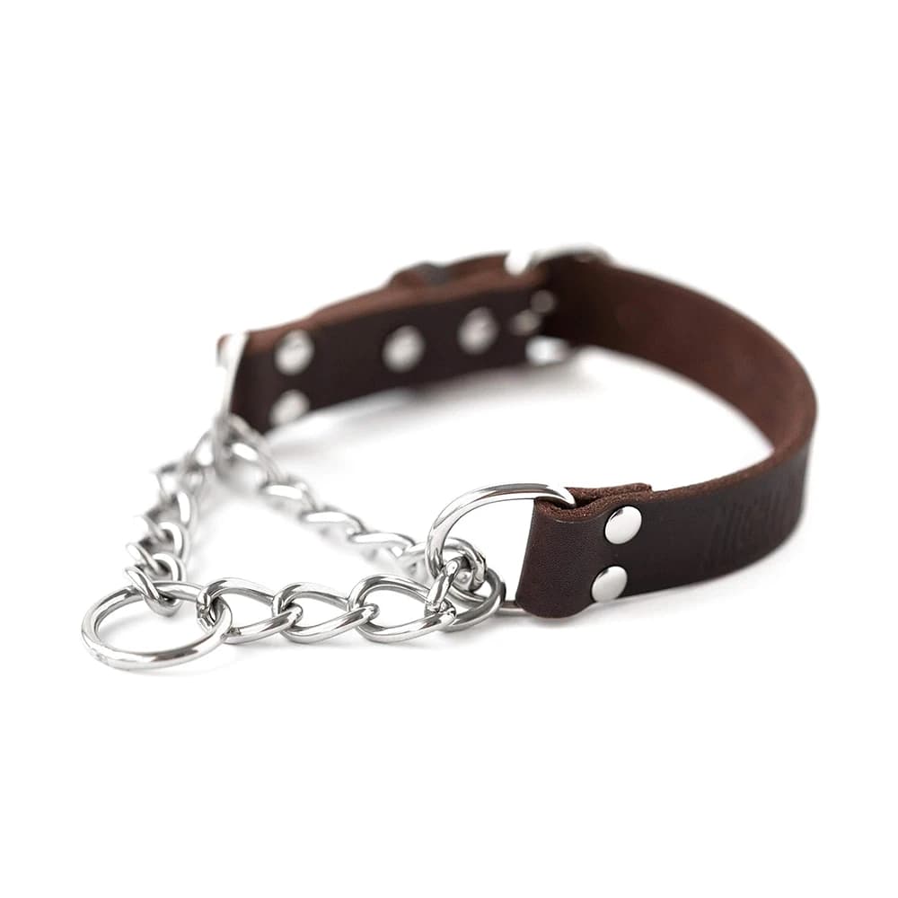 Collier de chien Martingale collier d'entraînement en acier inoxydable chaîne limitée Cinch formatio