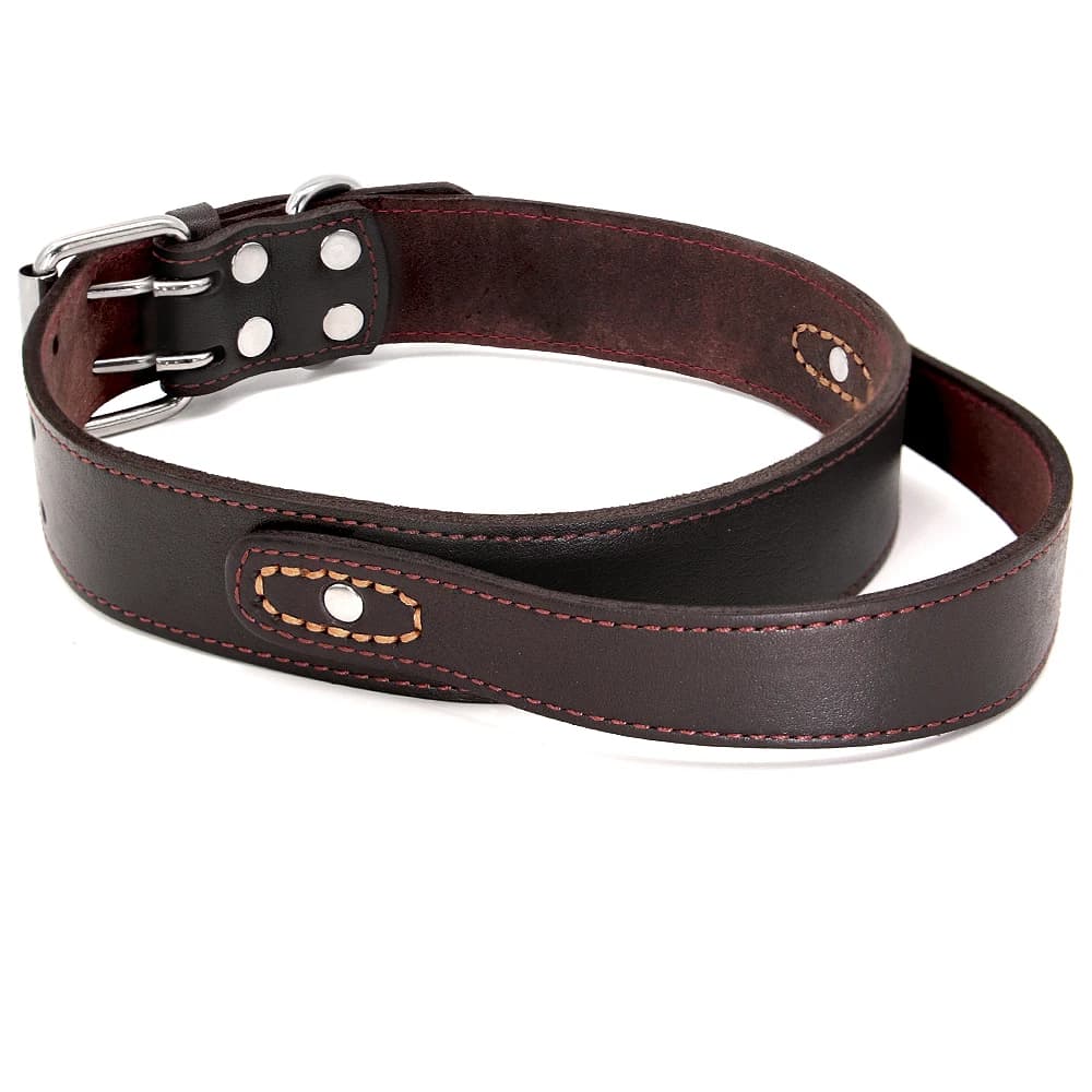 Collier de chien en cuir véritable, durable, colliers d'entraînement pour chiens moyens et grands, a