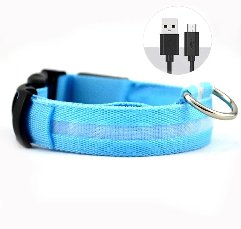 Collier de chien éclairé par LED, lumières clignotantes réglables, Rechargeable par USB, adapté aux