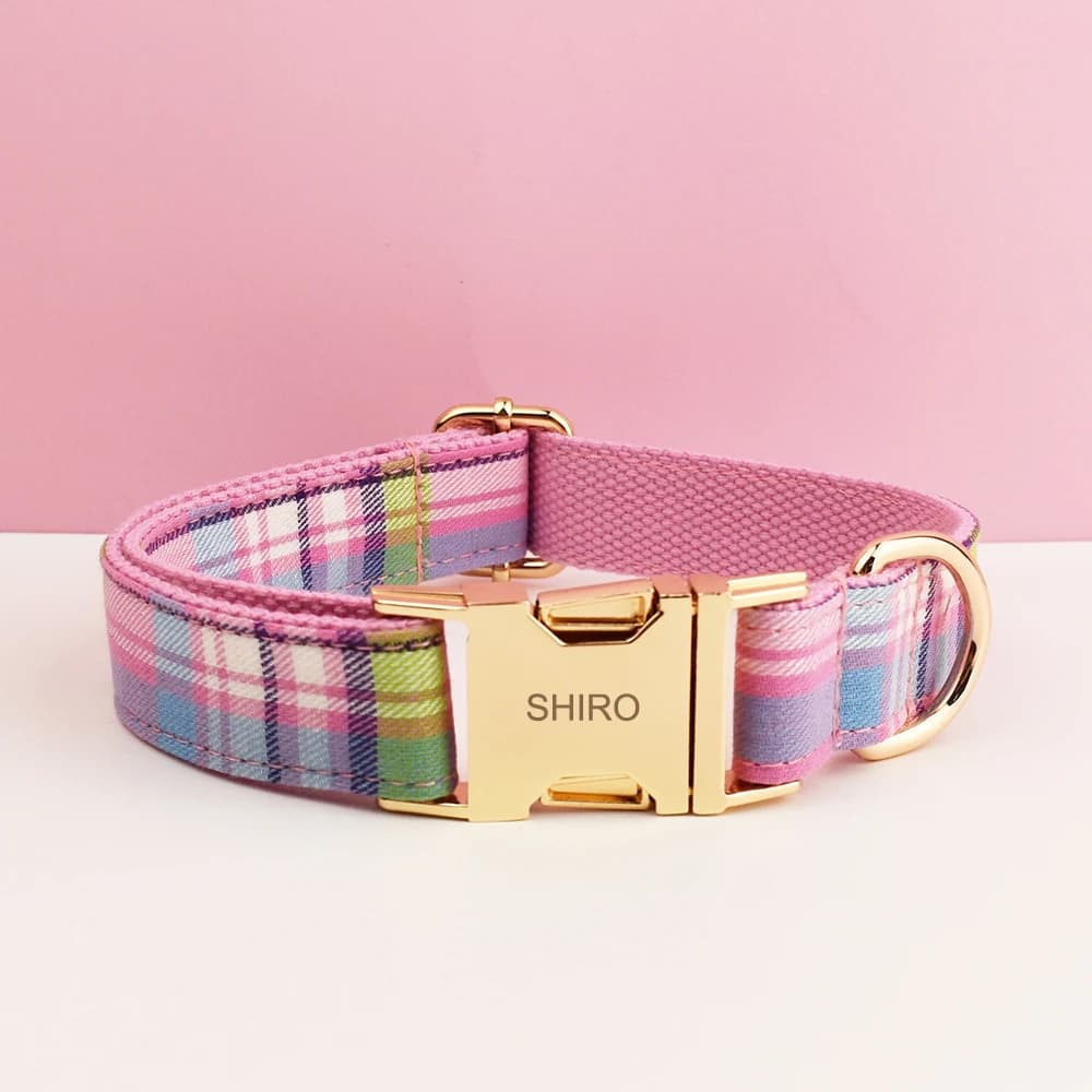 Laisse et collier de luxe pour chien, collier rétractable pour animaux de compagnie de petite et gra