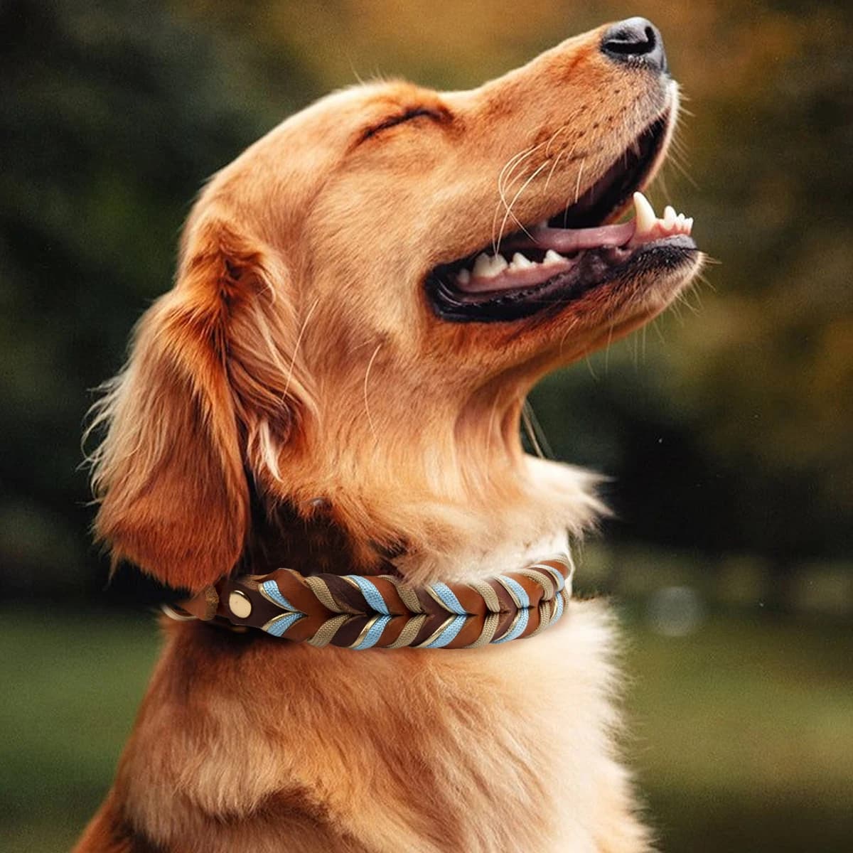 Collier en cuir véritable pour chiot solide et Durable, pour chiens de taille moyenne et grande, tressé, corde en Nylon colorée, nouvelle collection