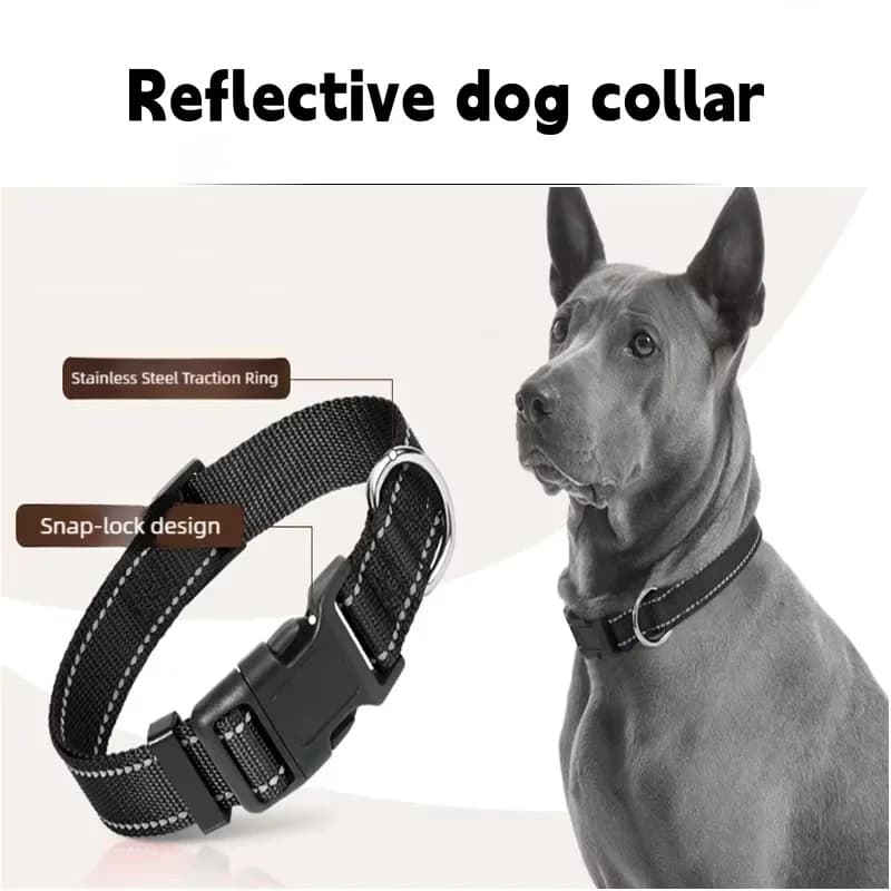 Collier réfléchissant pour chiens de taille moyenne et grande